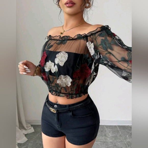 Women's Vacation Casual Sheer Mesh Embroidered Blouse - Picture 5 of 5